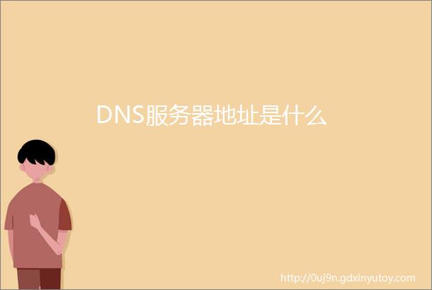 DNS服务器地址是什么